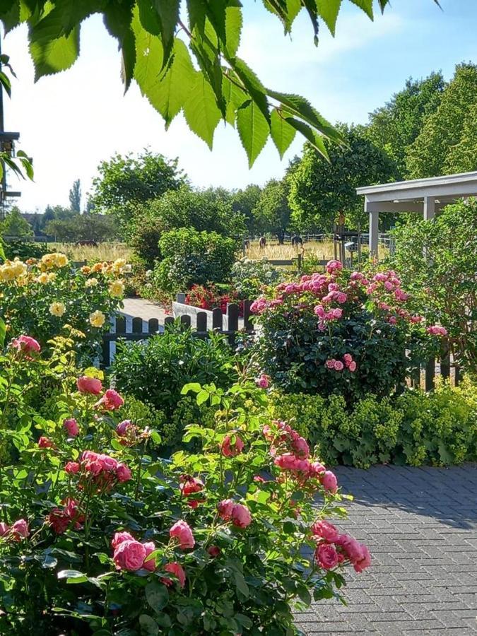 Haus-Am-See-Pratzschwitz Pirna Luaran gambar
